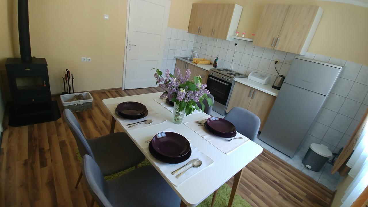 Apartment Danijel Visegrad Bagian luar foto